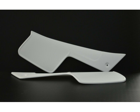 PLAQUES LATERALES SWM 250 S1