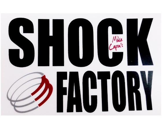 AMORTISSEURS KTM 125 GS SHOCK FACTORY